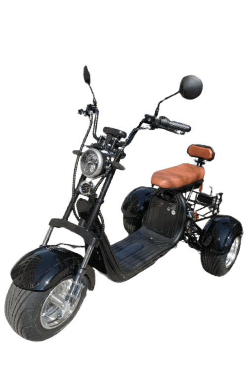 TRICICLO 3000W