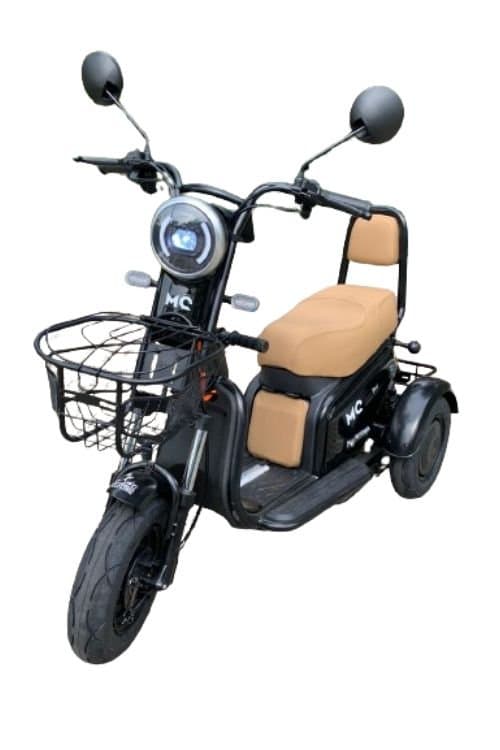TRICICLO ELÉTRICO 600W - Foto 1