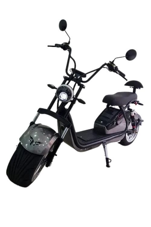 Serviços - Suporte - Assistência 1 Modelo