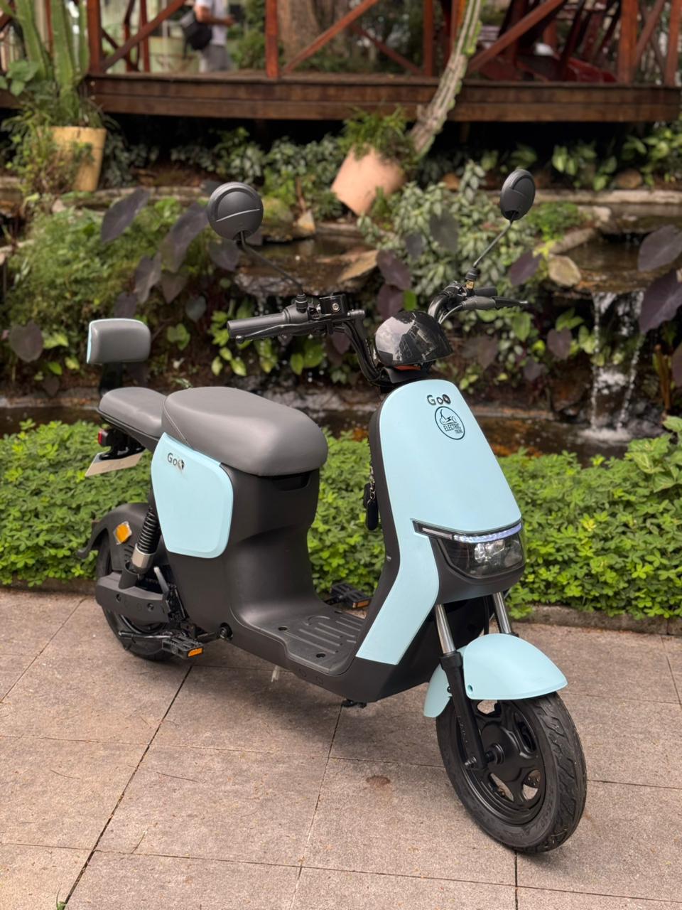 4e25d186-c0ad-4f08-919f-e647763a7584